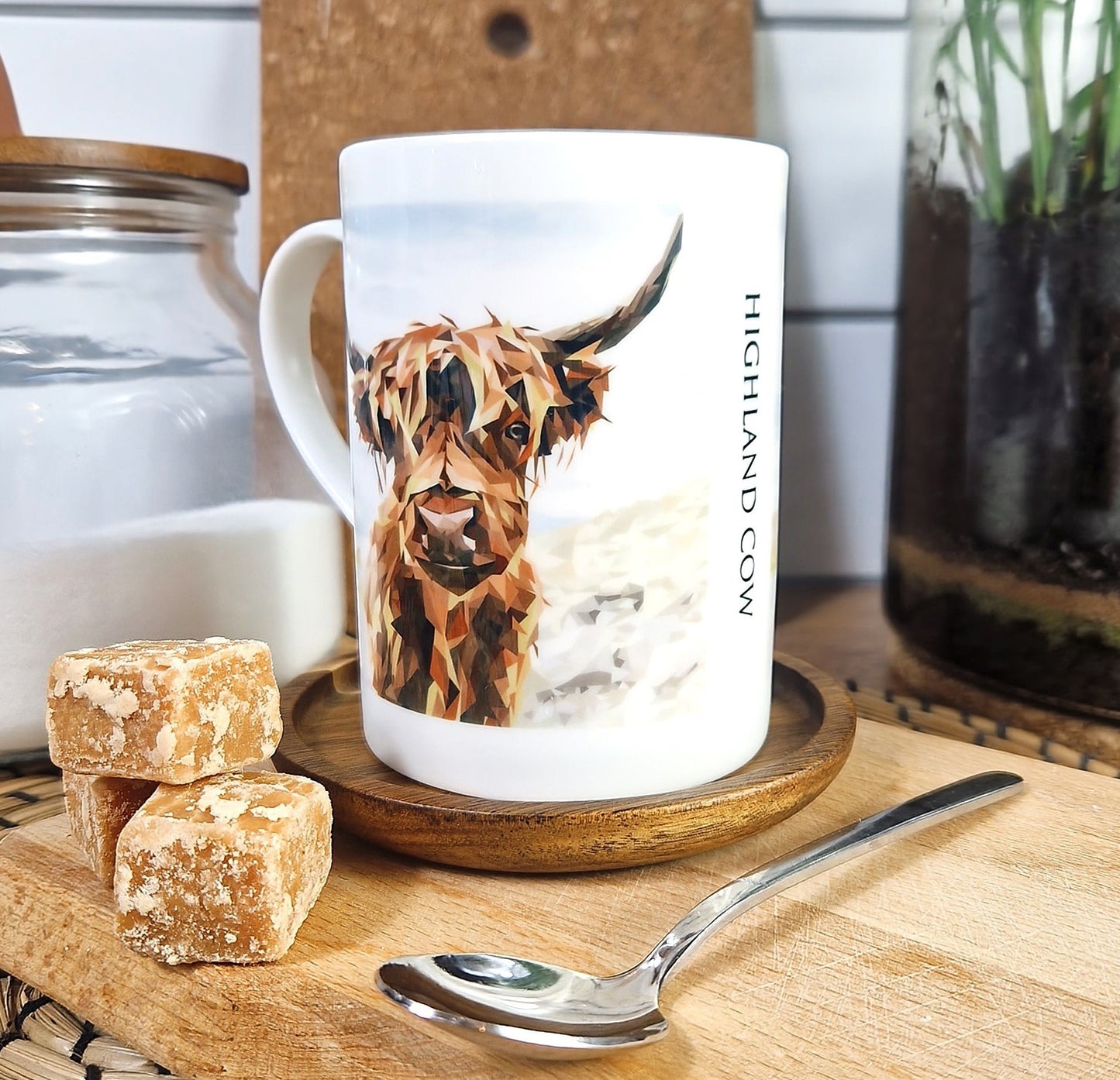 HIGHLAND COW illustrated mug *NEW