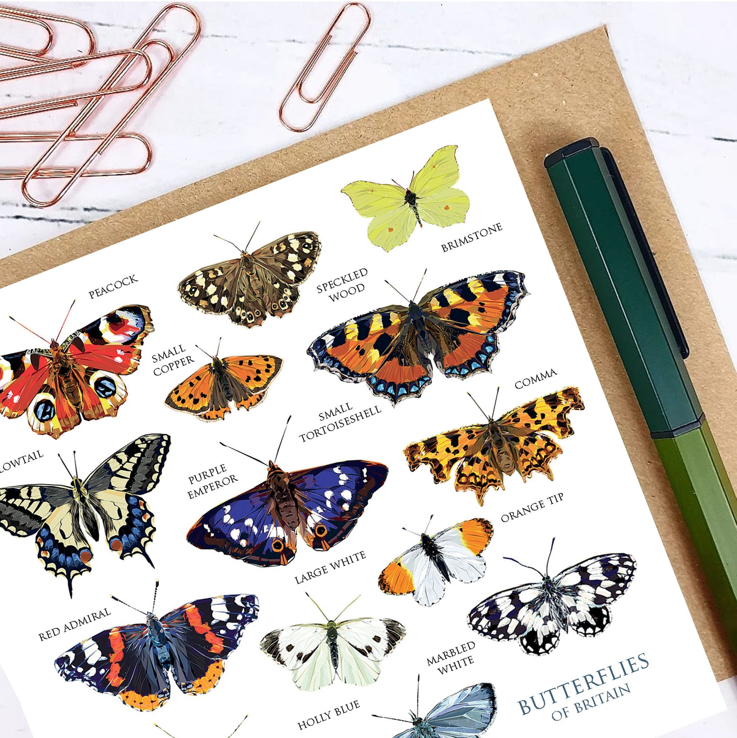 BUTTERFLIES OF BRITAIN greeting card