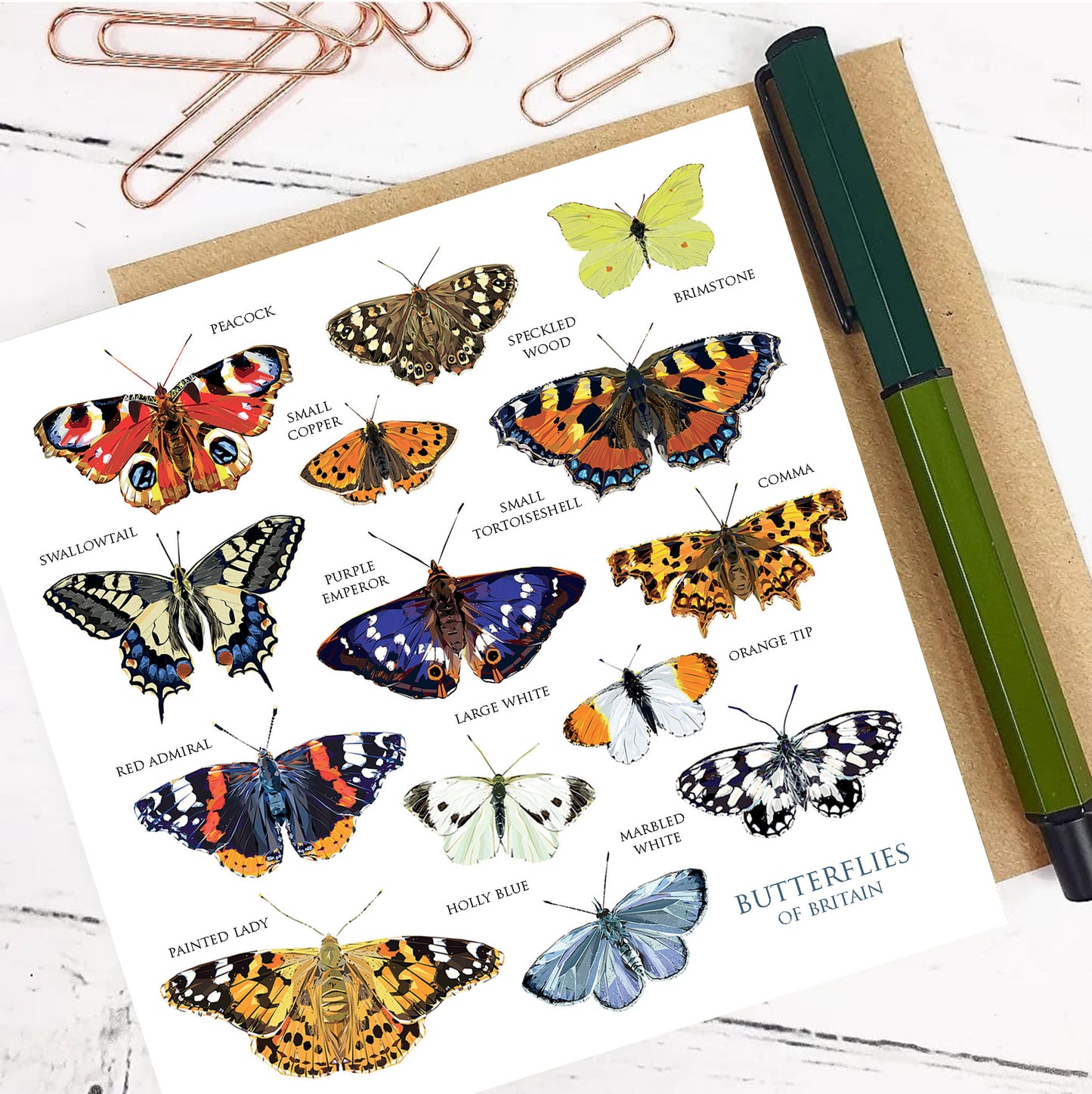 BUTTERFLIES OF BRITAIN greeting card